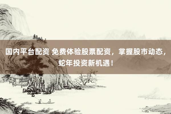 国内平台配资 免费体验股票配资，掌握股市动态，蛇年投资新机遇！