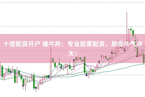 十倍配资开户 臻牛所：专业股票配资，助您牛气冲天！