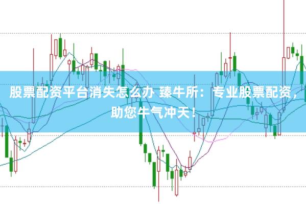 股票配资平台消失怎么办 臻牛所：专业股票配资，助您牛气冲天！