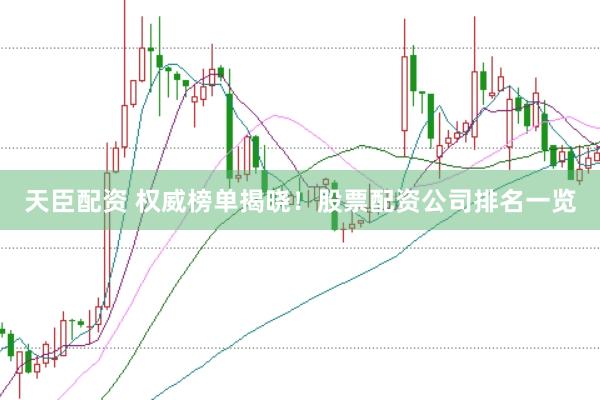天臣配资 权威榜单揭晓！股票配资公司排名一览