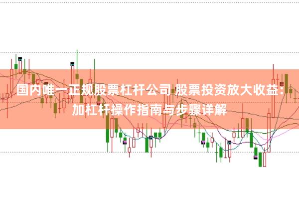 国内唯一正规股票杠杆公司 股票投资放大收益：加杠杆操作指南与步骤详解