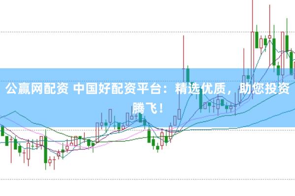 公赢网配资 中国好配资平台：精选优质，助您投资腾飞！