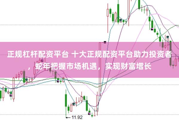 正规杠杆配资平台 十大正规配资平台助力投资者，蛇年把握市场机遇，实现财富增长