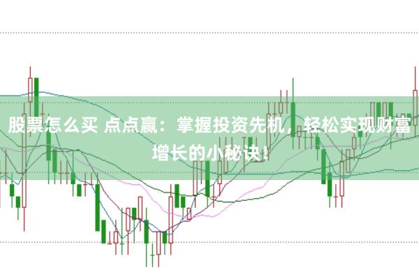 股票怎么买 点点赢：掌握投资先机，轻松实现财富增长的小秘诀！