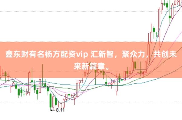 鑫东财有名杨方配资vip 汇新智，聚众力，共创未来新篇章。