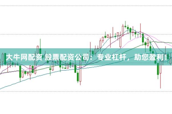大牛网配资 股票配资公司：专业杠杆，助您盈利！