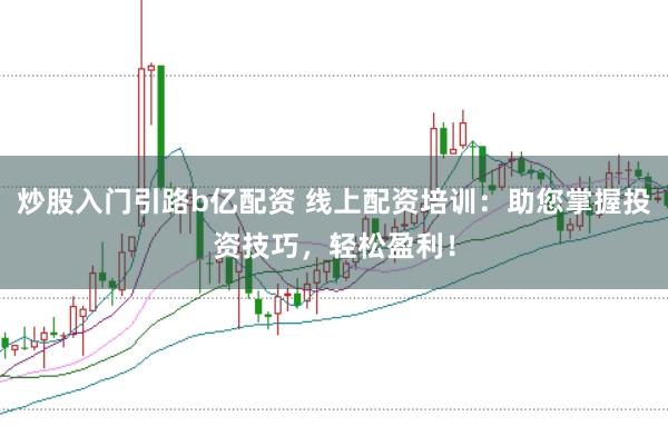炒股入门引路b亿配资 线上配资培训：助您掌握投资技巧，轻松盈利！