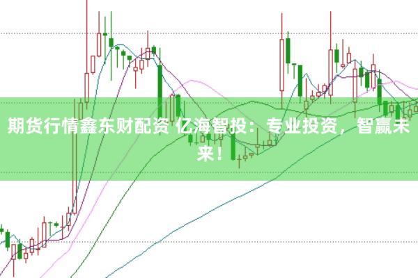 期货行情鑫东财配资 亿海智投：专业投资，智赢未来！