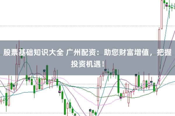 股票基础知识大全 广州配资：助您财富增值，把握投资机遇！