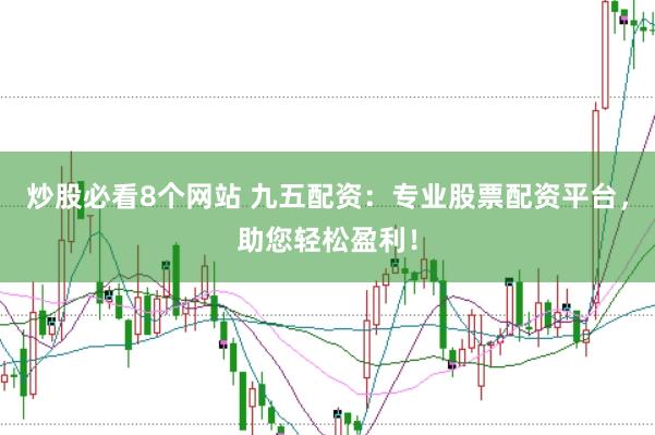 炒股必看8个网站 九五配资：专业股票配资平台，助您轻松盈利！