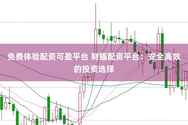 免费体验配资可盈平台 财猫配资平台：安全高效的投资选择