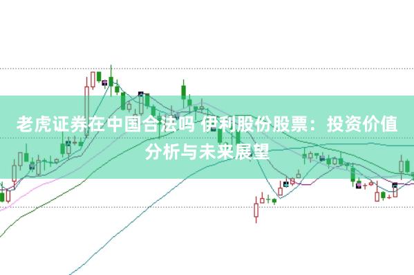 老虎证券在中国合法吗 伊利股份股票：投资价值分析与未来展望
