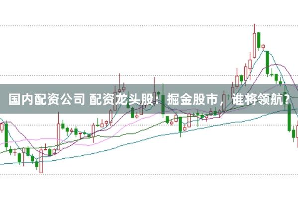 国内配资公司 配资龙头股：掘金股市，谁将领航？