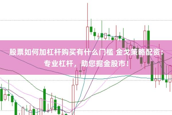 股票如何加杠杆购买有什么门槛 金戈策略配资：专业杠杆，助您掘金股市！