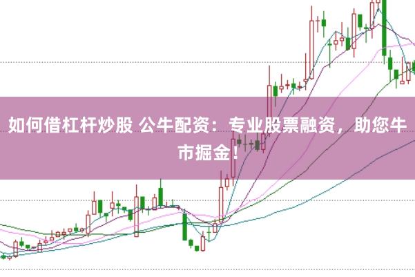 如何借杠杆炒股 公牛配资：专业股票融资，助您牛市掘金！