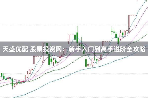 天盛优配 股票投资网：新手入门到高手进阶全攻略