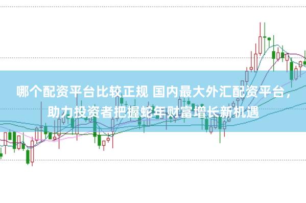 哪个配资平台比较正规 国内最大外汇配资平台，助力投资者把握蛇年财富增长新机遇