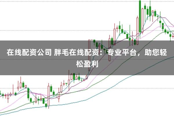 在线配资公司 胖毛在线配资：专业平台，助您轻松盈利